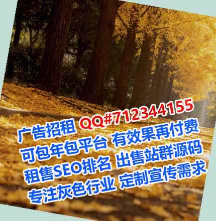 舞阳代妈融资租赁事务所